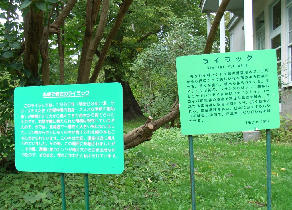 秋の北大植物園_c0025115_16525025.jpg