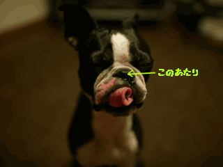 e0080117_18554438.gif