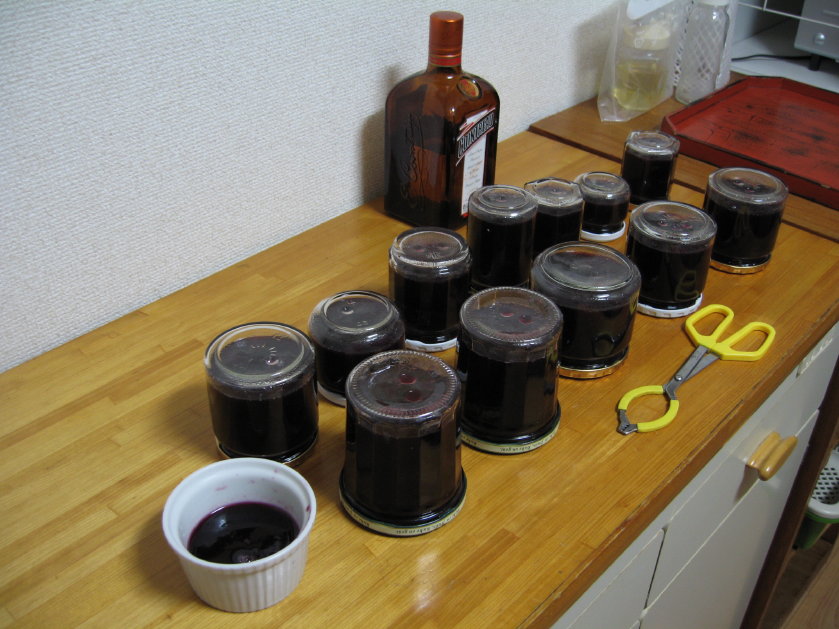 f0068334_11325453.jpg