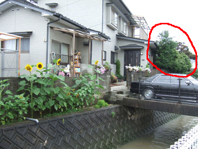 f0008935_13424012.gif