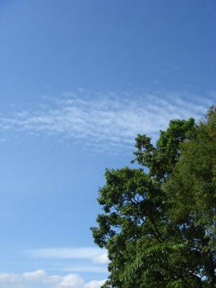 a0014840_22425100.jpg
