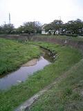 d0132155_17261250.jpg