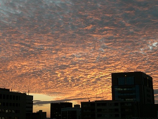 d0006756_1102454.jpg
