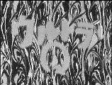 c0119160_20535823.gif