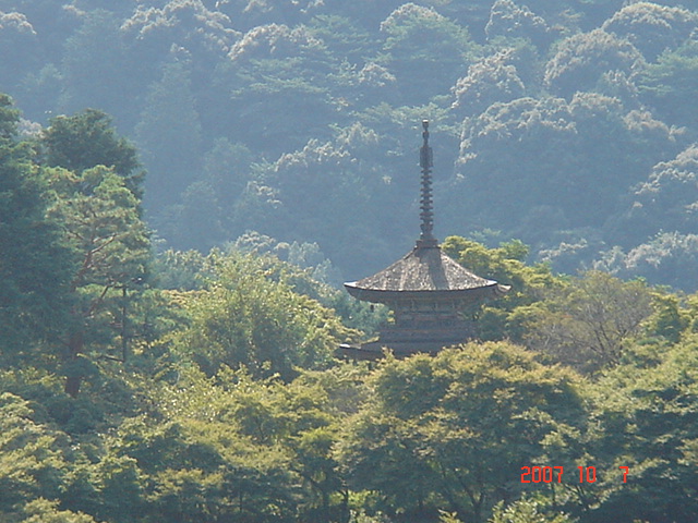 c0126762_20148100.jpg