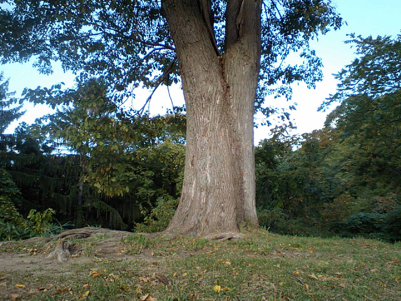 d0098665_18363864.jpg