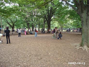 代々木公園へ_d0006467_1995771.jpg