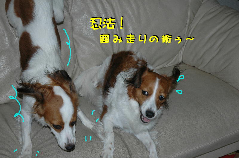c0075585_391919.jpg