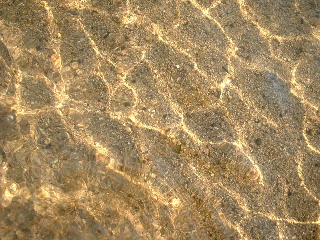 e0060485_12467.jpg