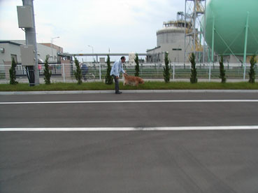 c0096393_23181133.jpg