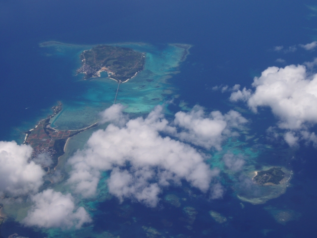 石垣島で見たもの その20_c0118393_17525619.jpg