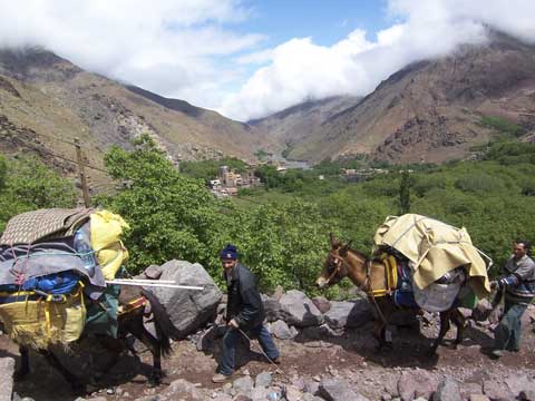 e0103195_22494350.jpg