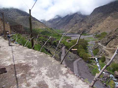 e0103195_234961.jpg