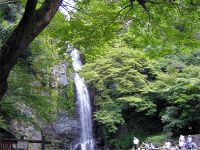 b0108100_2029957.gif