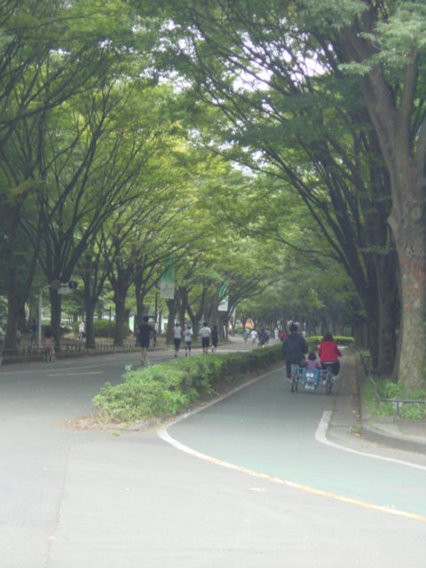 b0083902_16441058.jpg