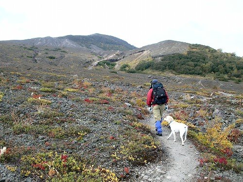 風不死岳で登山犬！_f0082103_22533880.jpg