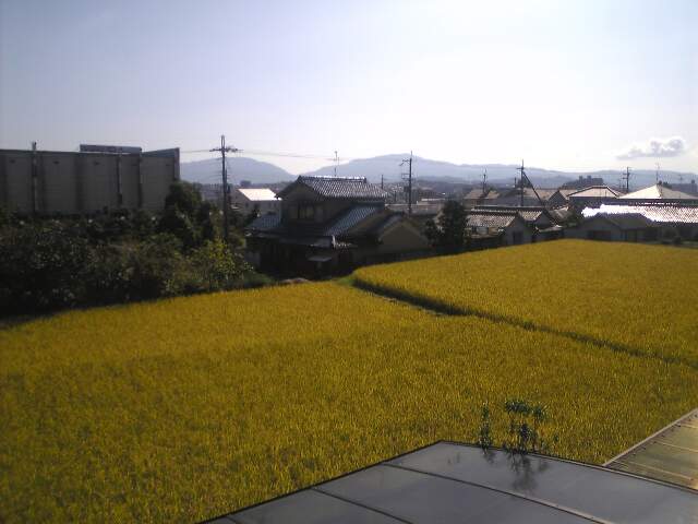e0037314_0234815.jpg