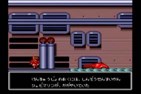 お久しぶりのシュビビーム 2_d0039216_19594931.jpg