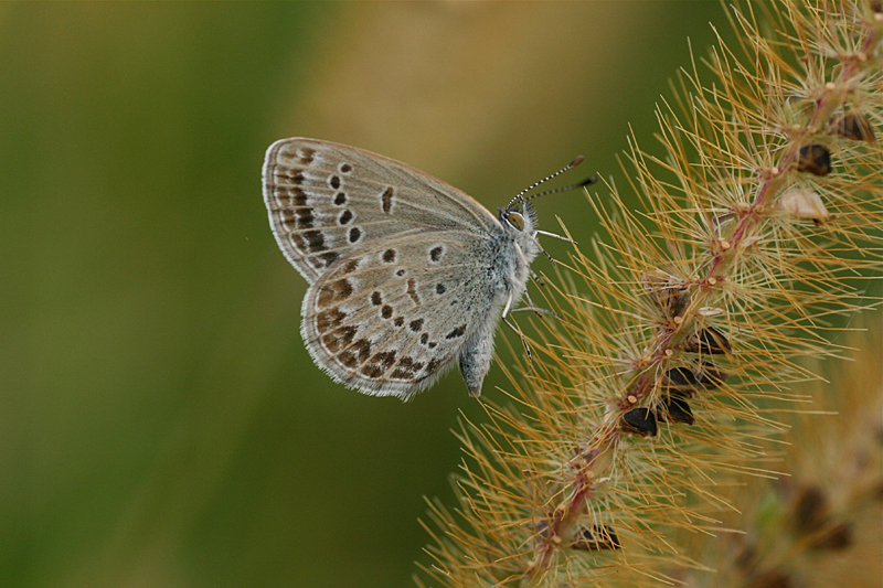 d0054625_2203062.jpg