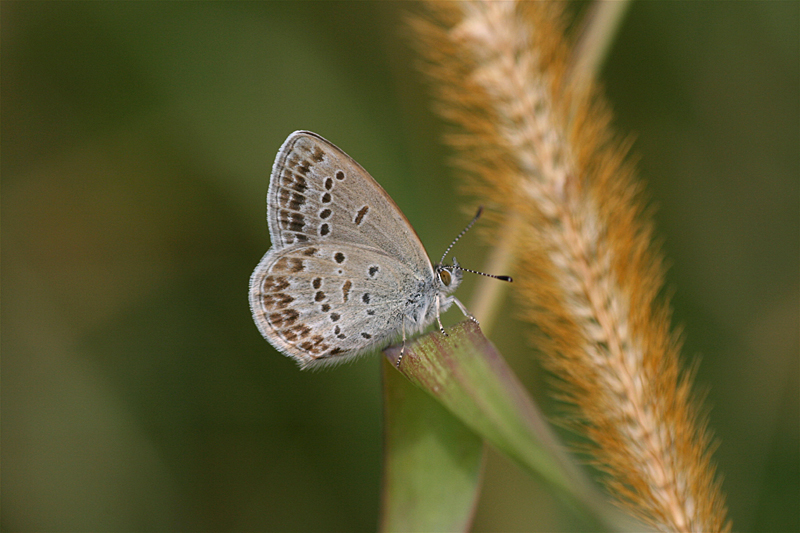 d0054625_22494265.jpg