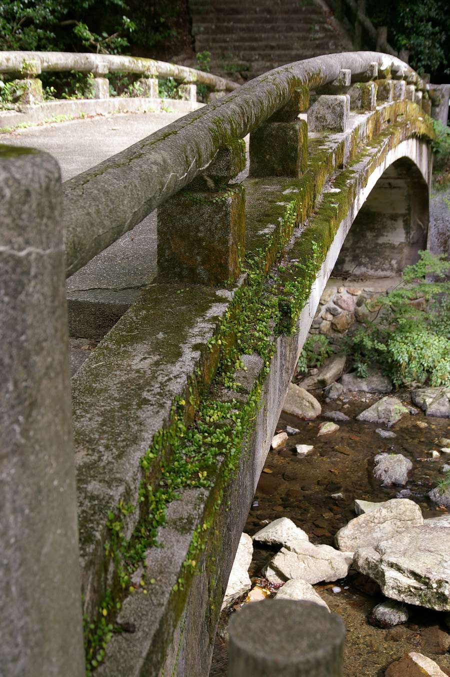 b0069128_23242631.jpg