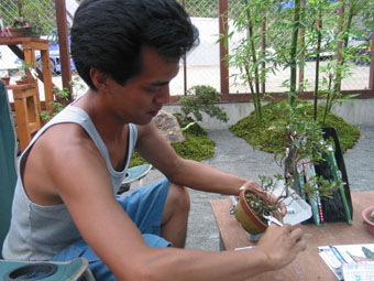 e0041337_1927355.jpg