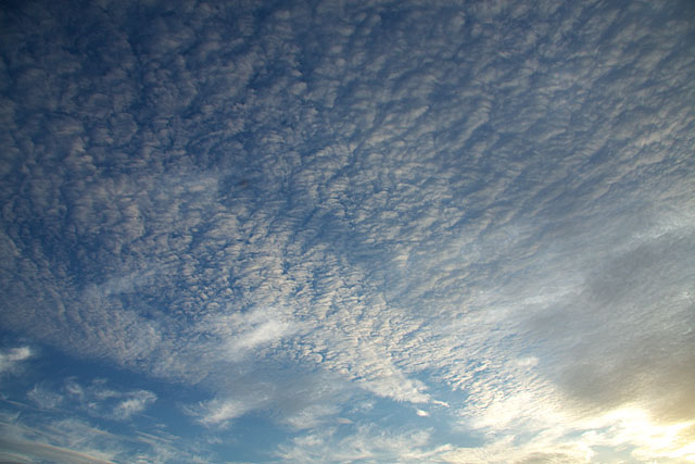 うろこ雲のある夕暮れ_c0067040_21502759.jpg