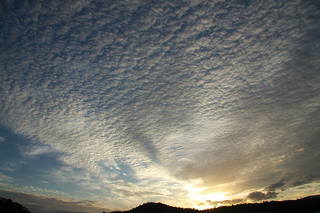 c0067040_21511477.jpg