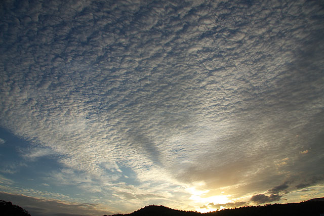 うろこ雲のある夕暮れ_c0067040_21511477.jpg