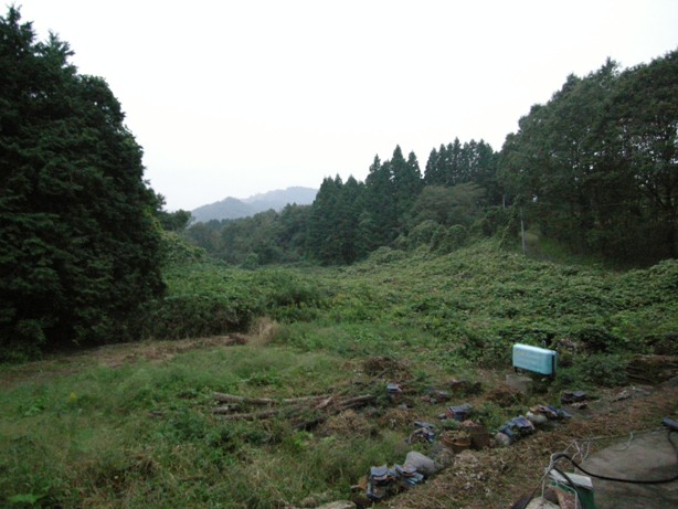 d0122640_16512062.jpg