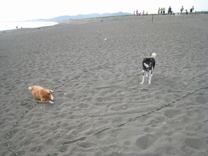 f0058241_16522919.jpg