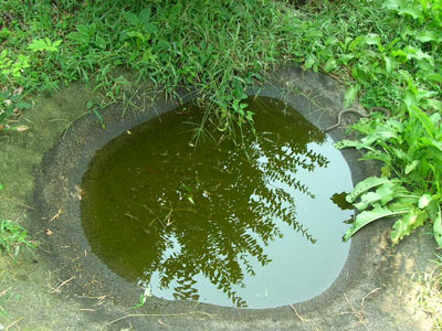 c0096342_14153517.jpg