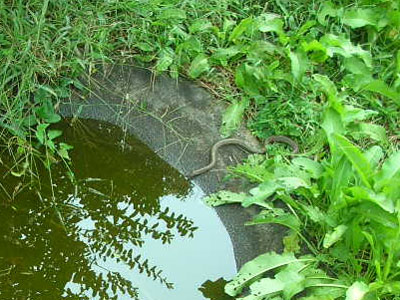 c0096342_14155072.jpg