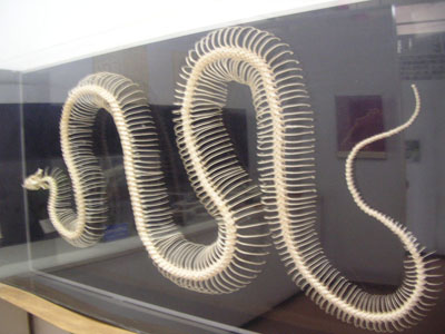 c0096342_14271567.jpg