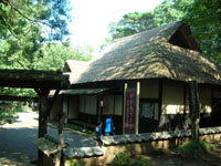 c0096342_15383945.jpg
