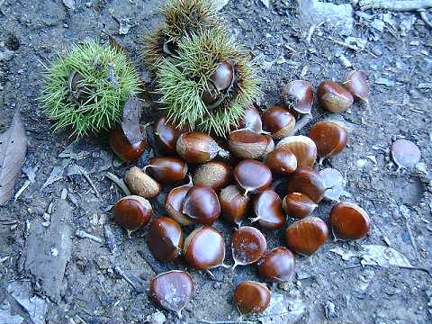 f0090444_012180.jpg