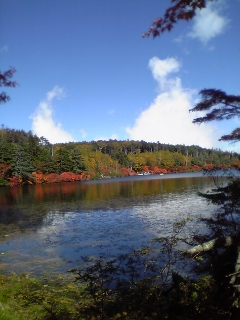 b0089545_98238.jpg