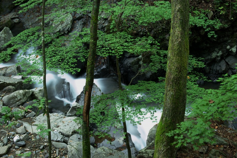 e0063851_07345.jpg