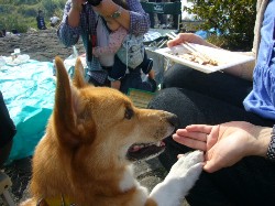 芋煮会@七北田公園_c0137257_1795227.jpg