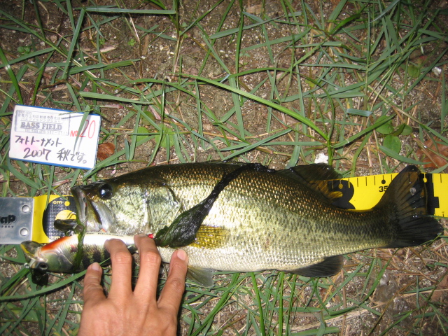 c0127358_213232.jpg