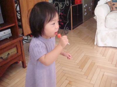 d0100880_552936.jpg
