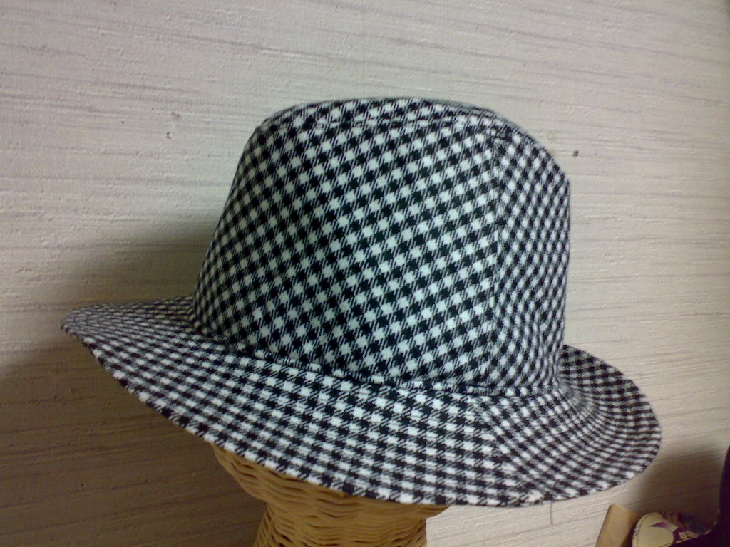 d0120685_3561765.jpg