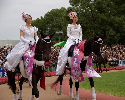匿名送料無料 懐かしの単勝馬券 ☆ダイワスカーレット他17頭 第