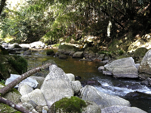 d0129886_2031113.jpg