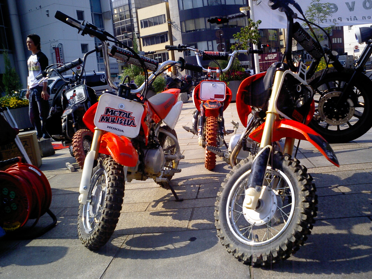 b0029688_145793.jpg