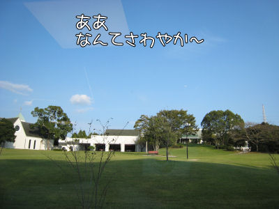 a0045990_22472275.jpg