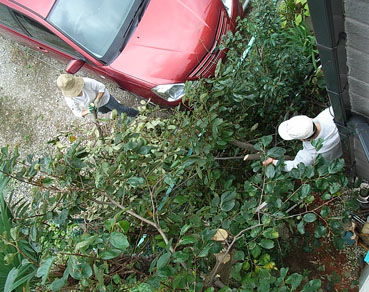 c0096393_23322691.jpg