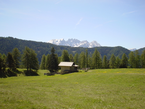 c0061896_1235137.jpg