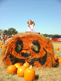 Pumpkin! Pumpkin!! Pumpkin!!!_e0123596_1140155.jpg