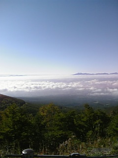 b0101300_16294694.jpg